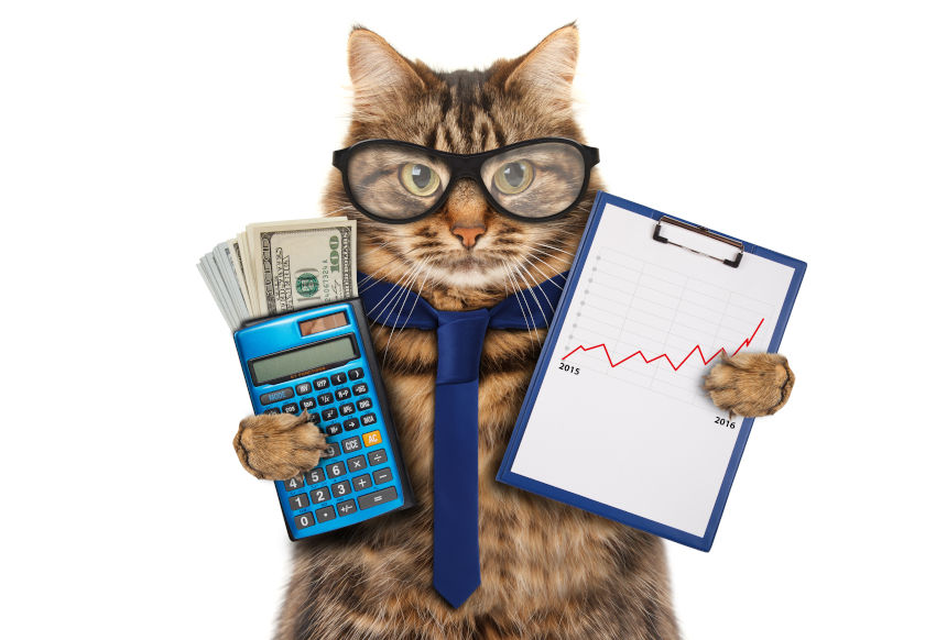 Chat avec des lunettes et une cravatte tenant une calculatrice et des billets de banque dans une patte, et un graphique dans l'autre