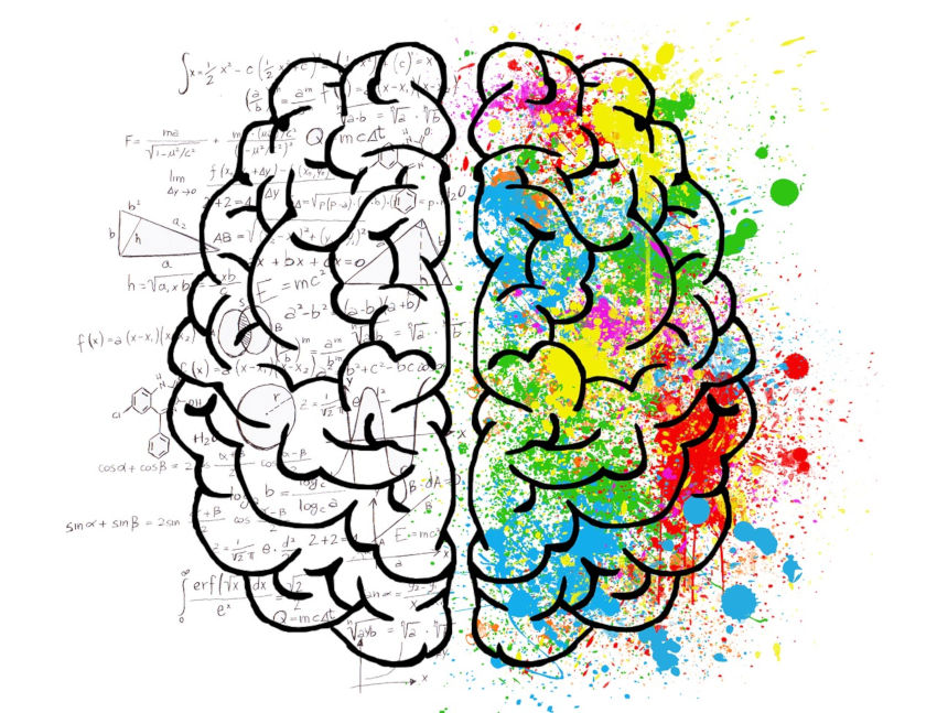 Dessin d'un cerveau avec des formules mathématiques à gauche et des tâches colorées à droite