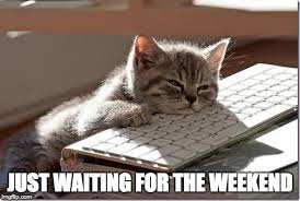 Chat avachi sur un clavier d'ordinateur avec l'inscription en anglais Just waiting for the weekend